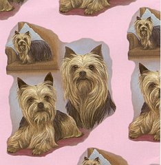 Doggy 6